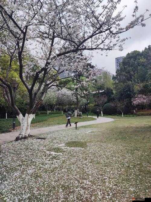 林娘子府中遇甘霖 雨后景致别样美